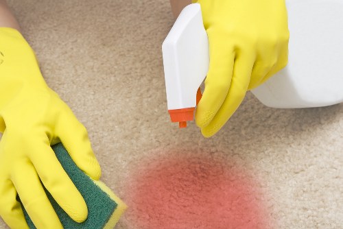 Professional rug cleaning in a bright living room