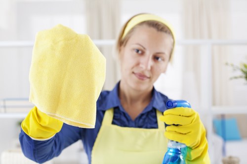 Professional carpet cleaning in a living room