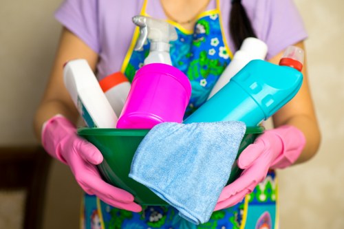 Professional move out cleaning in a bright living room