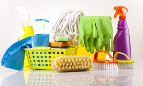 Cleaning supplies prepared for oven maintenance