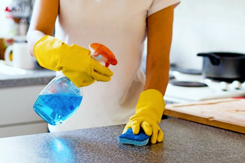 Professional window cleaning service restoring shine to exterior glass