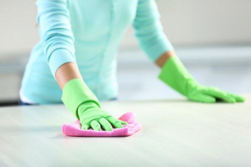 Clean and organized household after domestic cleaning service