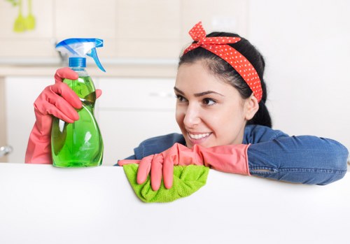 Routine cleaning support for property care