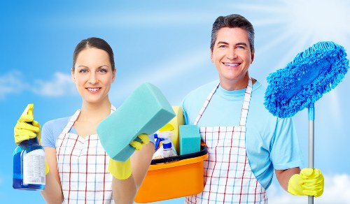 Home regular cleaning in kitchen and living spaces